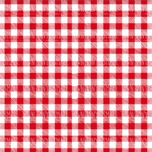 Gingham - Red and White Printed Vinyl